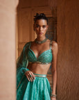 Suhana Lehenga
