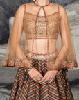 Rust Orange Chevron Skirt Set | Baroda