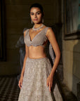 Pink Crystal Lehenga Set