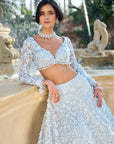 Powder Blue Three-Dimensional Lehenga Set