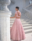 Pink Cut Work Lehenga Set