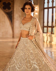 Silver Chandelier Lehenga Set