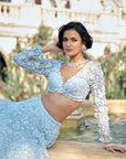 Powder Blue Three-Dimensional Lehenga Set