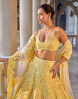 Yellow Cut Work Lehenga Set