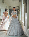 Silver Sequin Lehenga Set