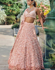 Peach Three-Dimensional Lehenga Set