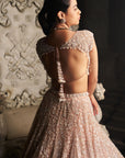 Champagne Sequin Lehenga Set