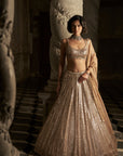Gold Mirror Work Lehenga Set
