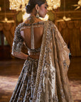 Antique Brown Tissue lehenga Set