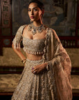 Gold Silver Tissue Lehenga Set - Ready to Ship