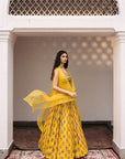 Dia Cape Lehenga Set