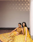 Dia Cape Lehenga Set