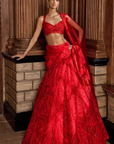 Red Paisley Lehenga Set 1