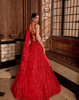 Red Paisley Lehenga Set 2