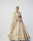 Golden Shimmer Organza Linear Lehenga Set - Ready to Ship