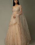 Hebe Lehenga Saree - Ready to Ship