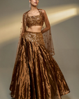 Copper Gold Embroidered Lehenga Set