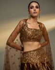 Copper Gold Embroidered Lehenga Set