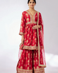 Samiksha Peplum Sharara Set