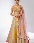 Sayali Lehenga Set