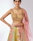 Sayali Lehenga Set