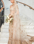 The Vintage Nizami Tulle Saree