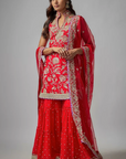 Golconda Sitara Sharara Set