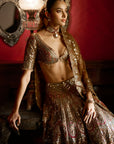 Applique Mirror Work Lehenga Set
