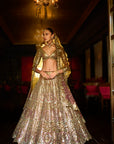 Applique Mirror Work Lehenga Set