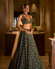 Emerald Stone Zardosi Lehenga