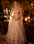 Multi-Coloured Stone & Pearl Lehenga Set
