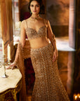 Antique Gold Crystal Fit & Flare Skirt Set