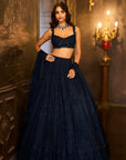 Navy Crystal Lehenga Set