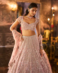 Dusty Peach Sequin Lehenga Set