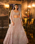 Dusty Peach Sequin Lehenga Set