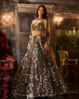 Multi - Coloured Mirror Work Lehenga Set