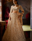 Nude Pearl Lehenga Set