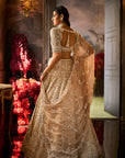 Nude Pearl Lehenga Set