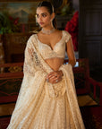 Ivory Crystal Lehenga Set