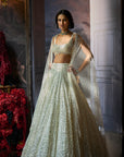 Milky White Sequin Lehenga Set