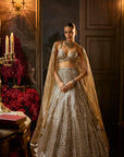 Gold Silver Lehenga Set