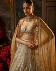 Gold Silver Lehenga Set