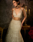 Champagne Nude Fit & Flare Skirt Set