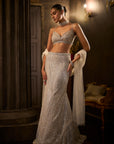Silver Fit & Flare Trail Skirt Set