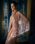 Coffee Brown sequin saree 2