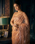 Copper Sequin Saree 2