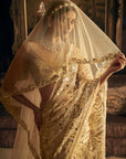 Cream Gold Mirror Work Saree 2