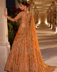 Rust Zardosi Cut Work Lehenga Set