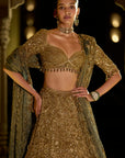 Antique Gold Sequin Lehenga Set