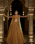 Antique Gold Lehenga Set